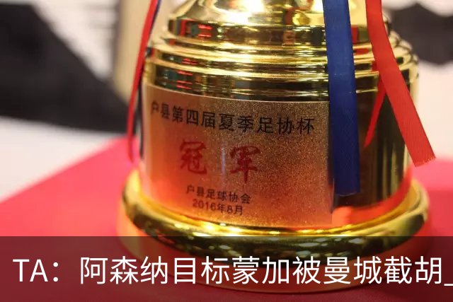 TA：阿森纳目标蒙加被曼城截胡 厄德高没与其他球队达协议